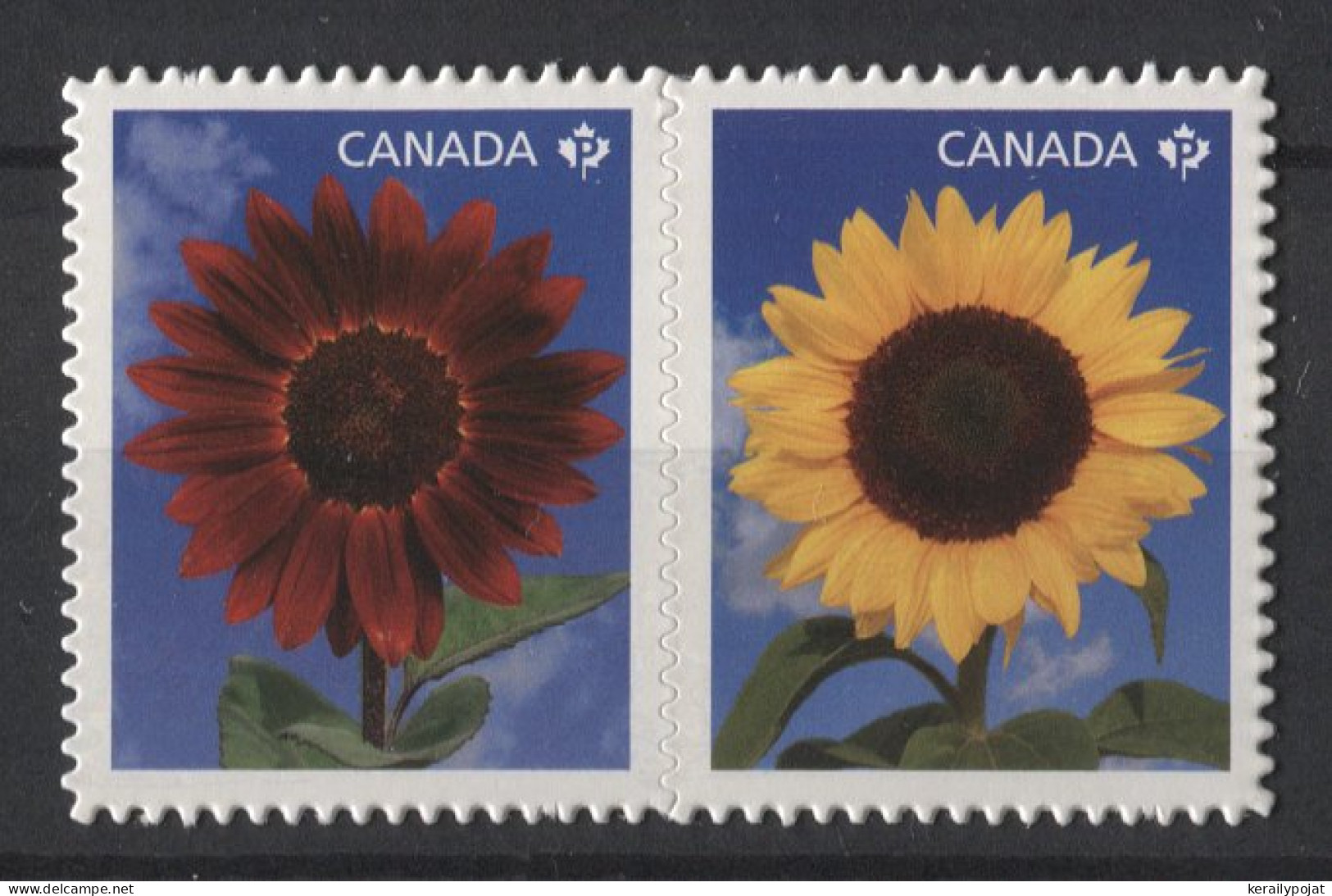 Canada - 2011 Sunflowers Booklet Stamps MNH__(TH-24853) - Ungebraucht