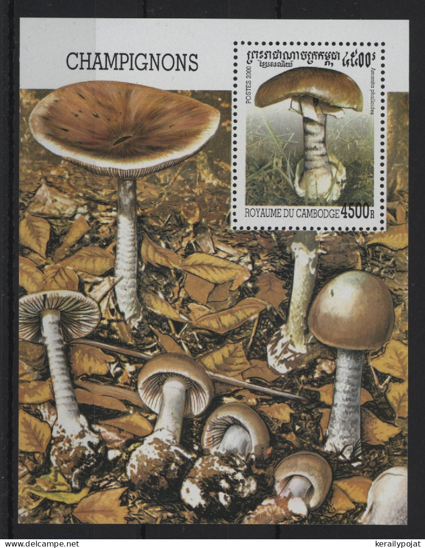 Cambodia - 2000 Mushrooms Block MNH__(TH-24400) - Camboya