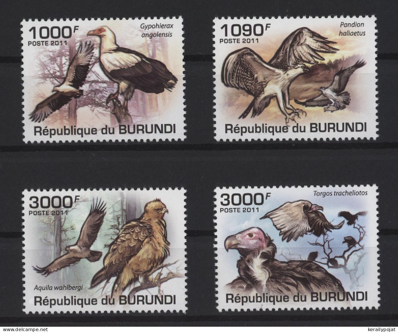 Burundi - 2011 Native Birds Of Prey MNH__(TH-27154) - Ongebruikt