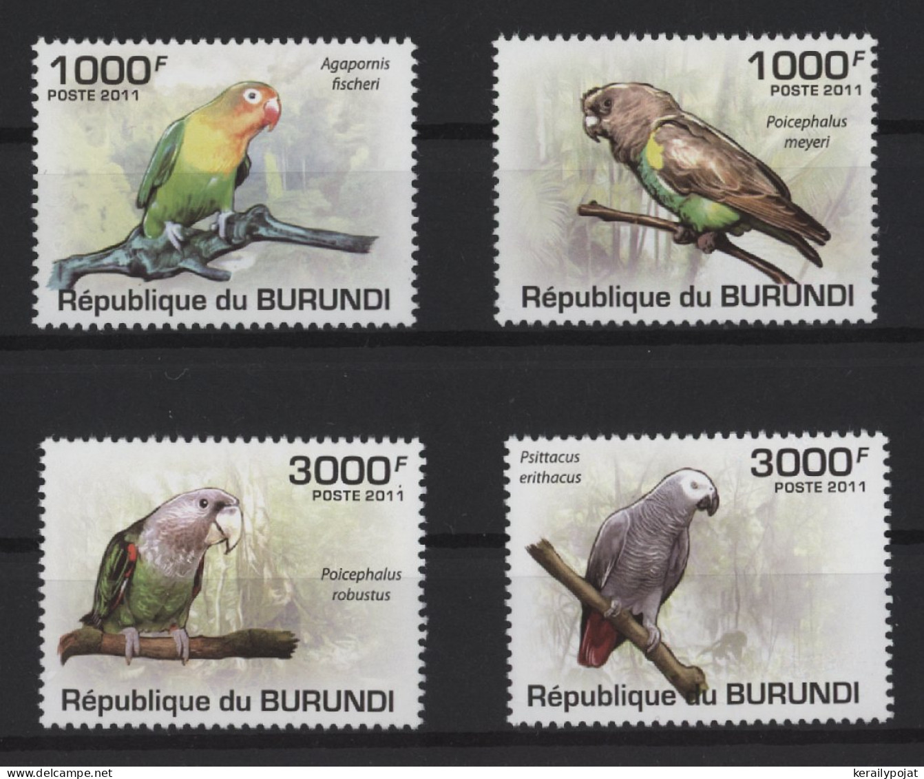 Burundi - 2011 Parrots MNH__(TH-27150) - Ungebraucht