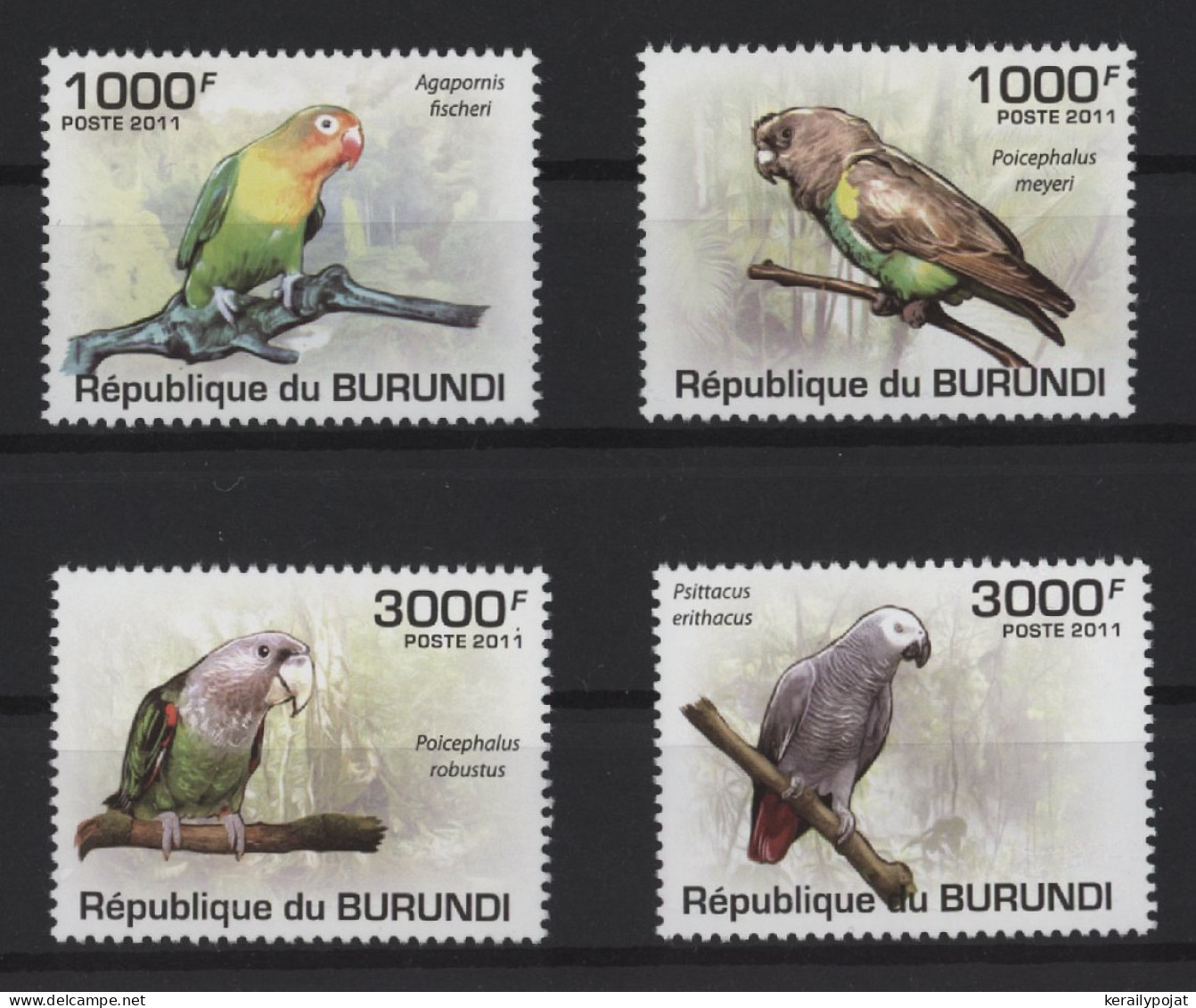 Burundi - 2011 Parrots MNH__(TH-27150) - Ongebruikt