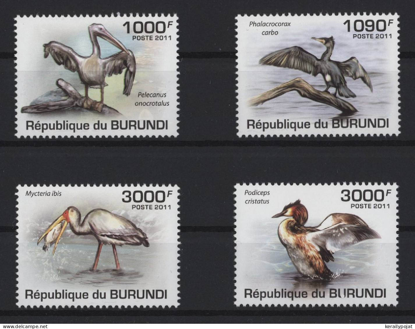 Burundi - 2011 Native Birds MNH__(TH-27151) - Ungebraucht