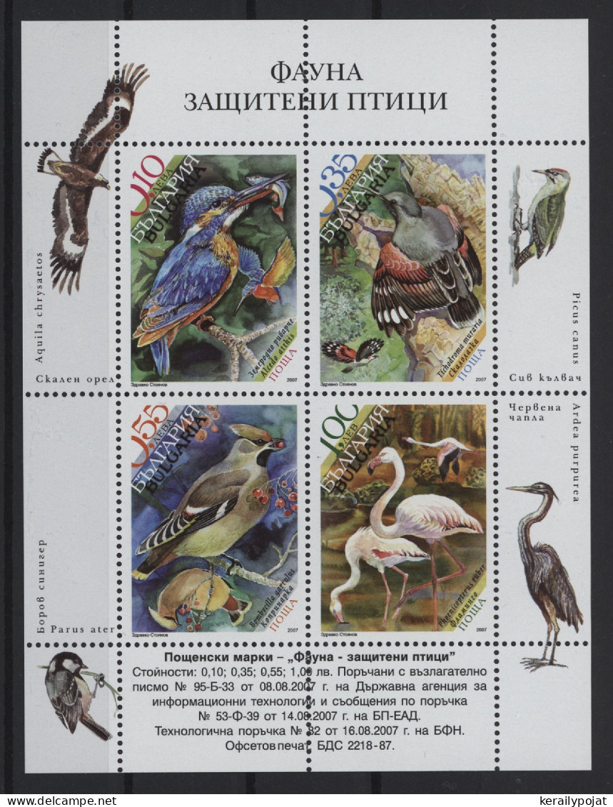 Bulgaria - 2007 Protected Birds Block MNH__(TH-27166) - Blocs-feuillets