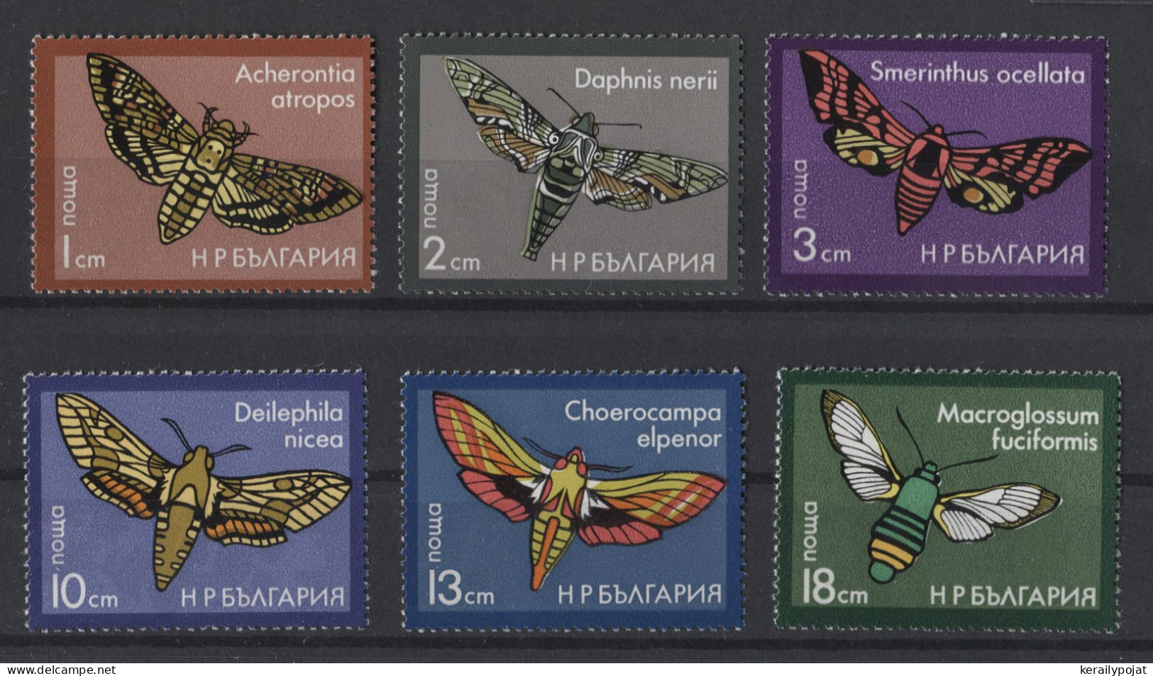 Bulgaria - 1975 Moths MNH__(TH-24807) - Ungebraucht