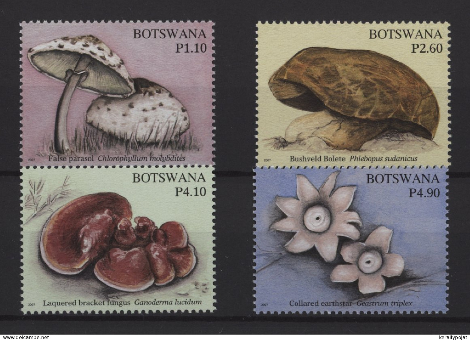 Botswana - 2007 Mushrooms MNH__(TH-25272) - Botswana (1966-...)