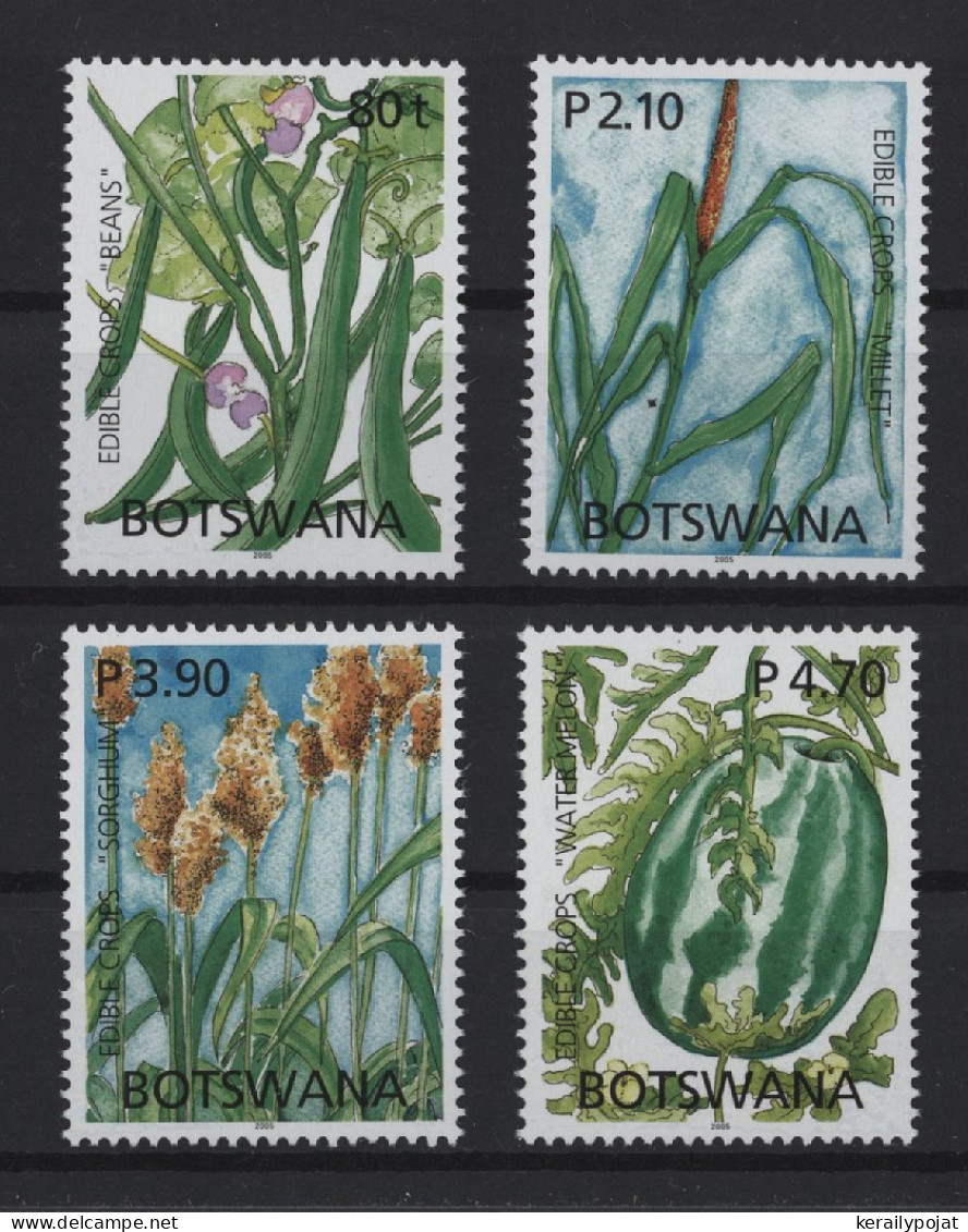 Botswana - 2005 Crops MNH__(TH-25263) - Botswana (1966-...)