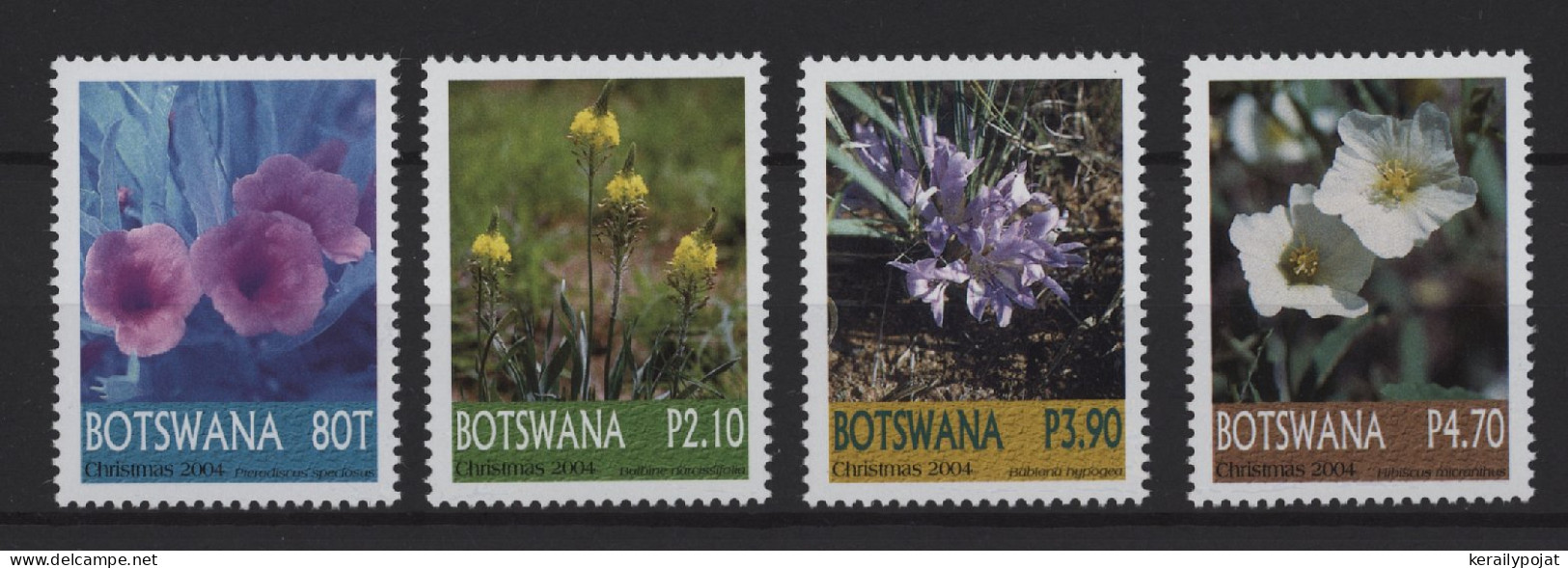 Botswana - 2004 Christmas Flowers MNH__(TH-25261) - Botswana (1966-...)