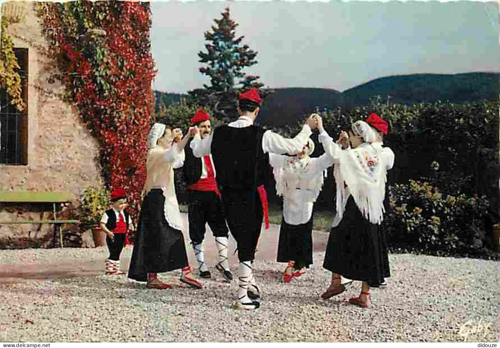 Folklore - Danses - Pays Catalan - Roussillon - La Sardane - Flamme Postale - Voir Scans Recto Verso - Danses
