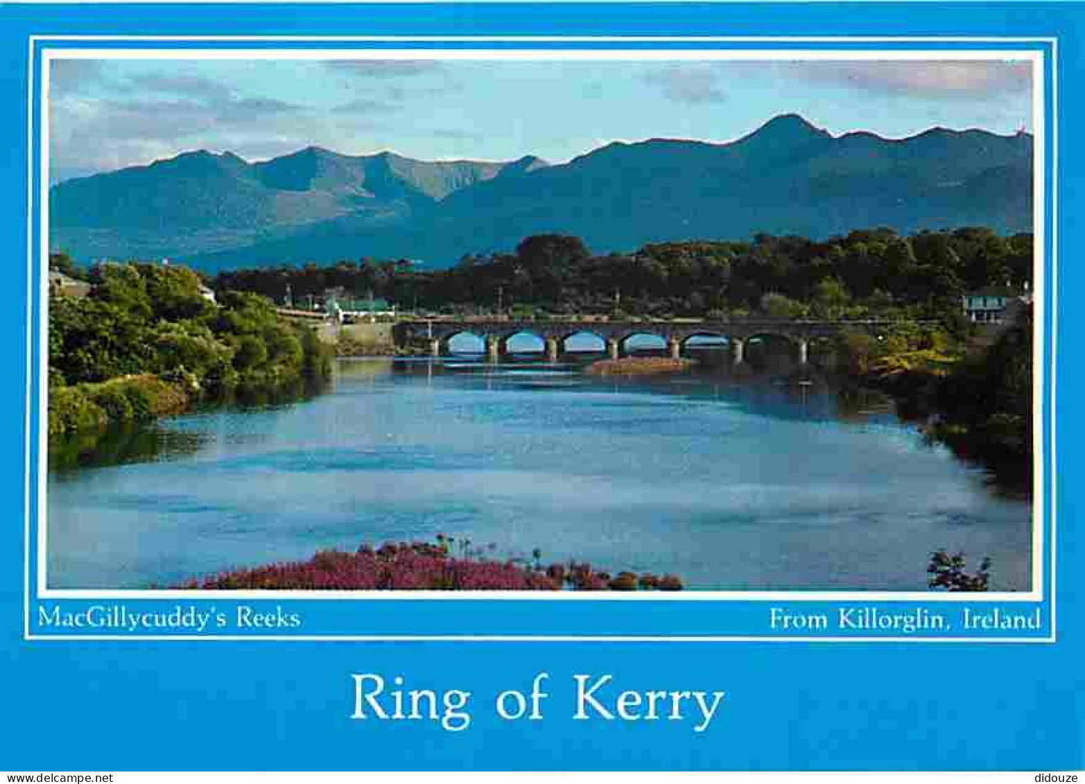 Irlande - Kerry - MacGillycuddy's Reeks - Killorglin - Ring Of Kerry - CPM - Voir Scans Recto-Verso - Kerry