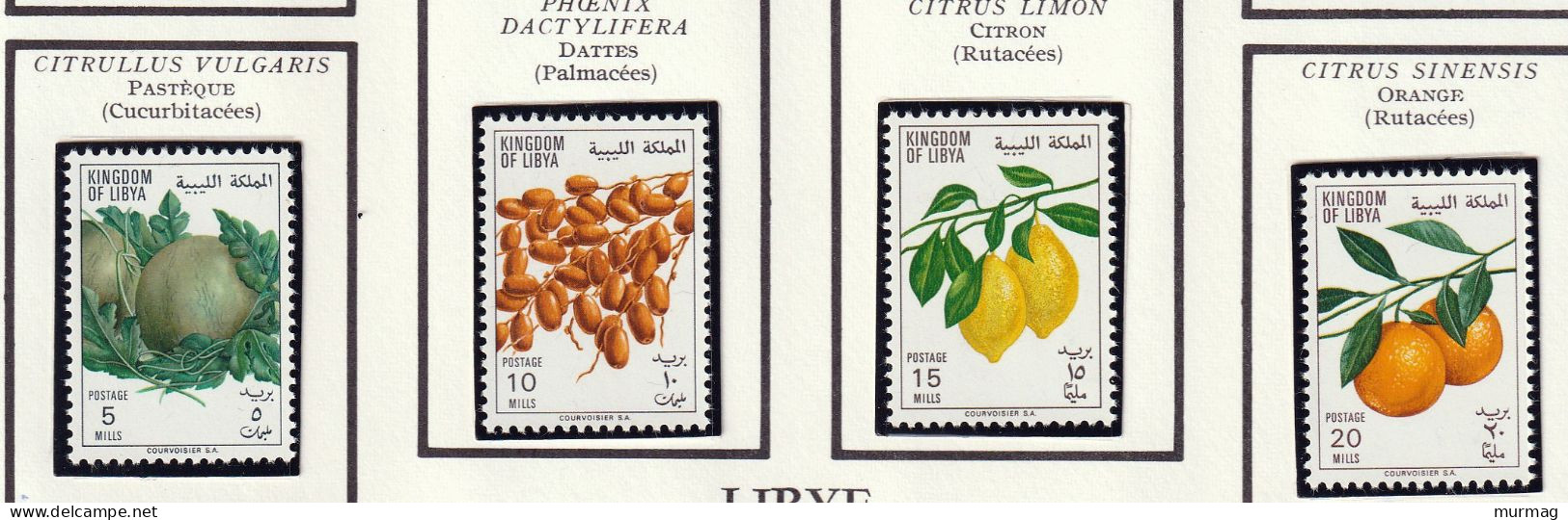LIBYE - Fruits, Pastèque, Dattes, Citron, Orange, Pêcher, Poires - 1969 - MNH - Libië