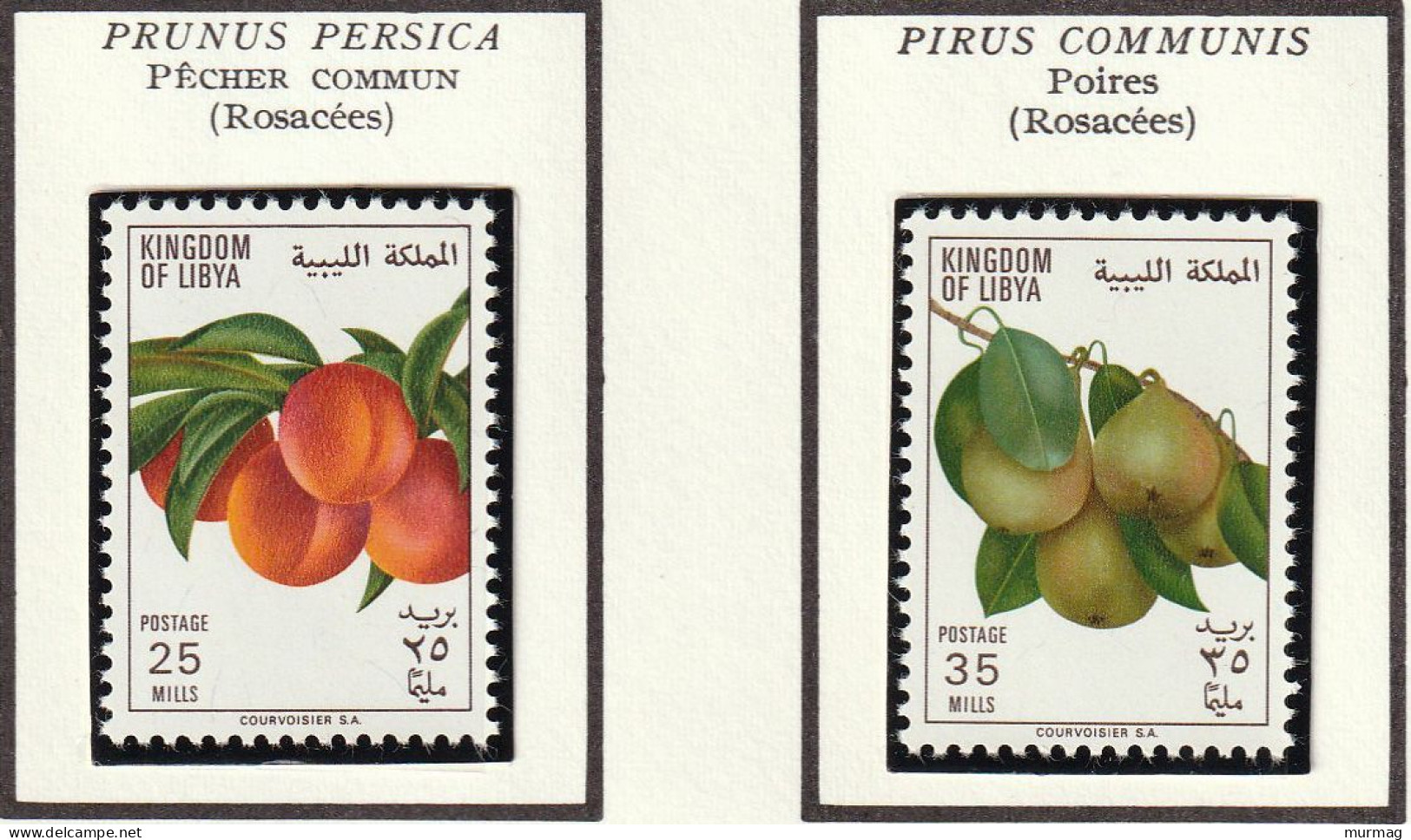 LIBYE - Fruits, Pastèque, Dattes, Citron, Orange, Pêcher, Poires - 1969 - MNH - Libye