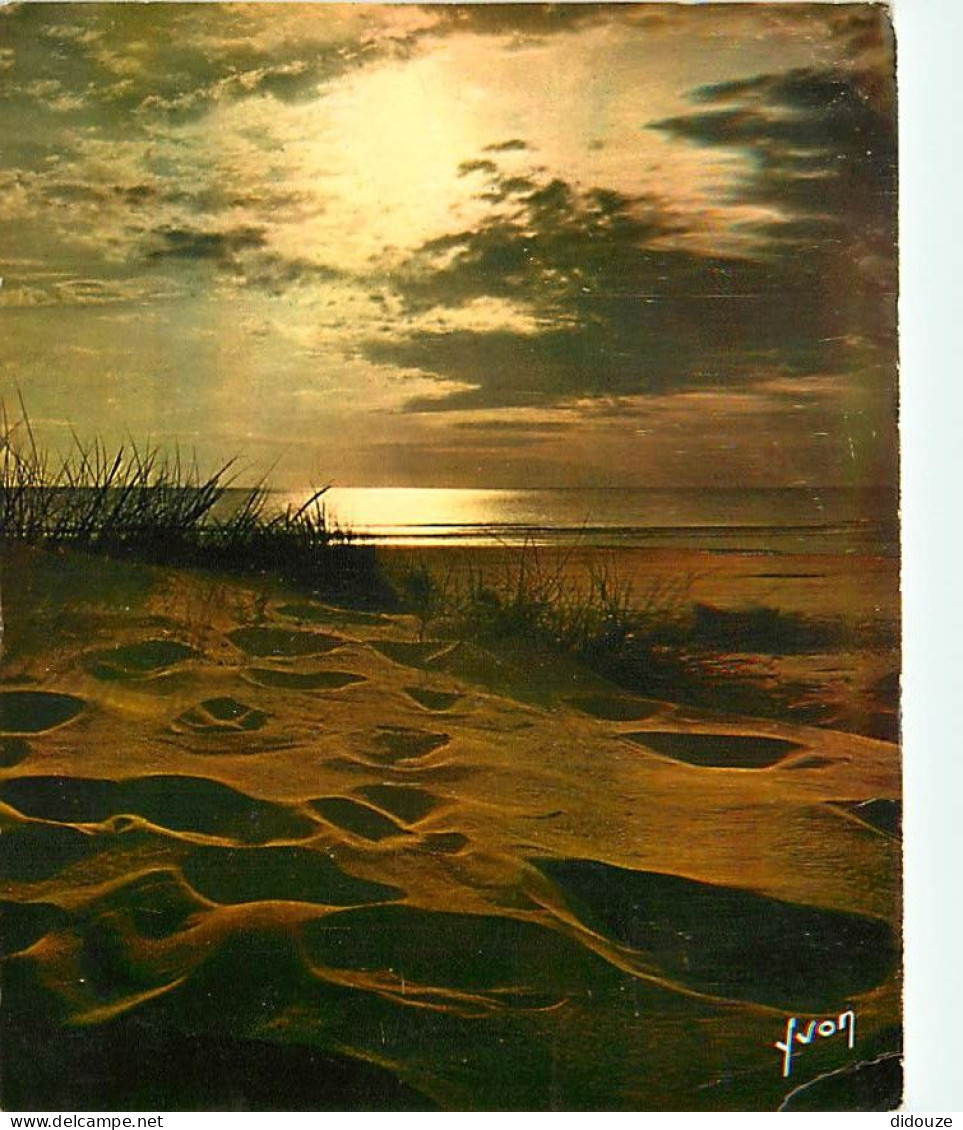 Coucher De Soleil - CPM - Voir Scans Recto-Verso - Contre La Lumière