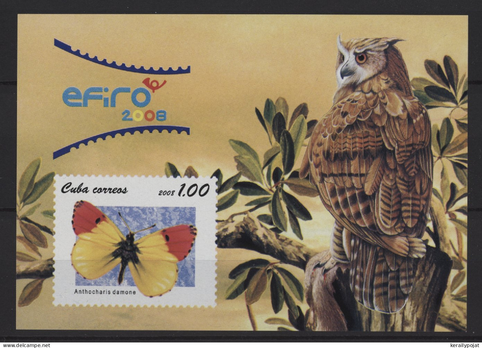 Cuba - 2008 Owls And Butterflies Block MNH__(TH-26757) - Hojas Y Bloques