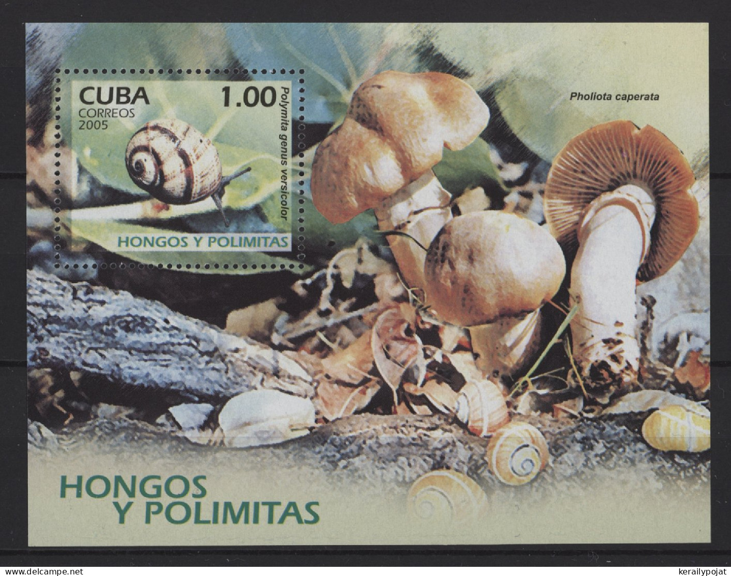 Cuba - 2005 Mushrooms Block MNH__(TH-27362) - Blocks & Sheetlets
