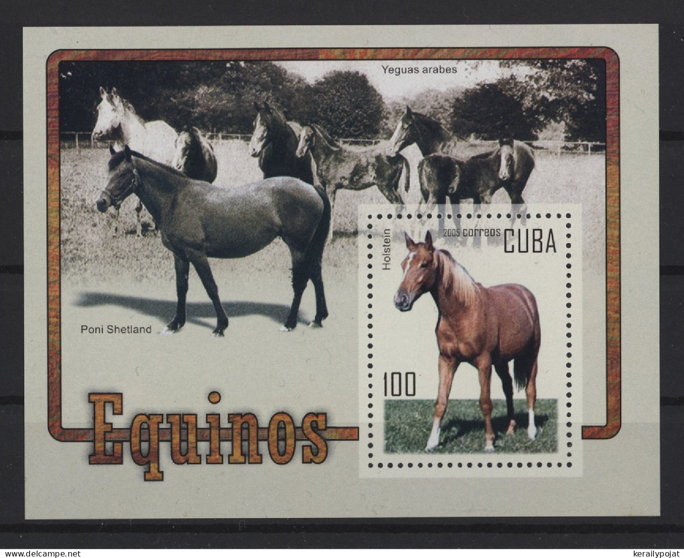 Cuba - 2005 Horses Block MNH__(TH-27053) - Blocks & Sheetlets