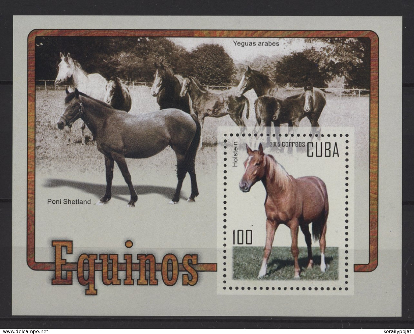 Cuba - 2005 Horses Block MNH__(TH-27356) - Blocs-feuillets