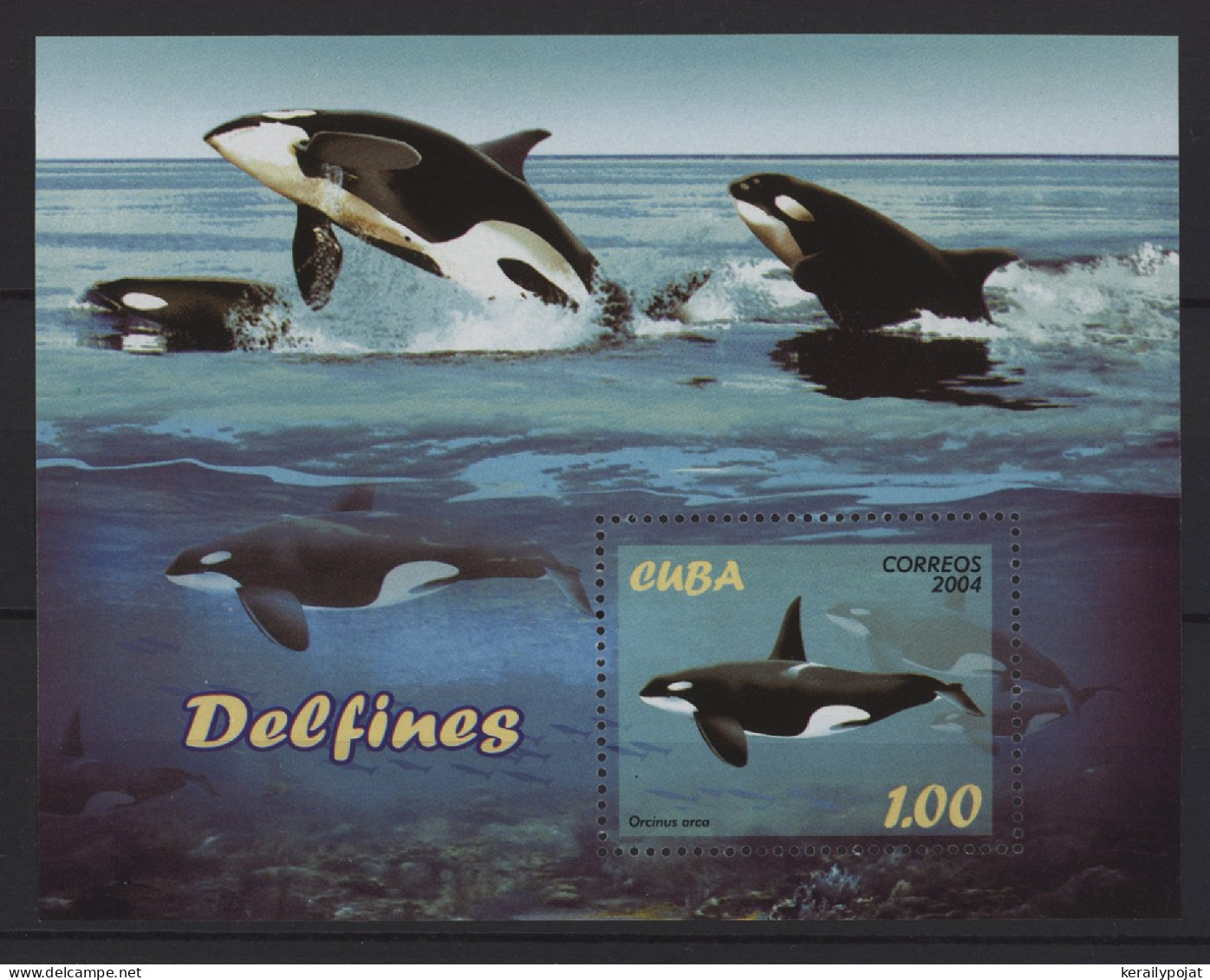 Cuba - 2004 Delphine Block MNH__(TH-27331) - Blocks & Sheetlets