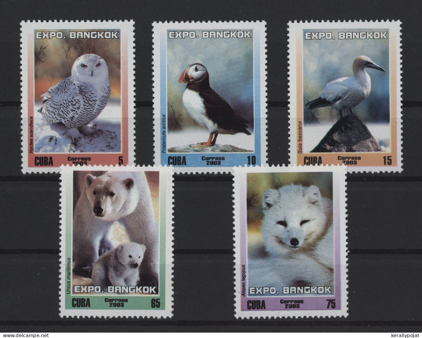 Cuba - 2003 Arctic Fauna MNH__(TH-27107) - Unused Stamps