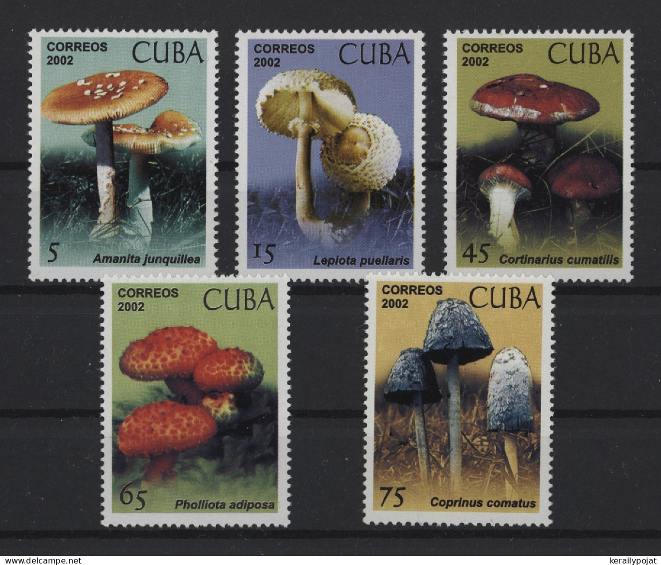 Cuba - 2002 Mushrooms MNH__(TH-25959) - Nuevos