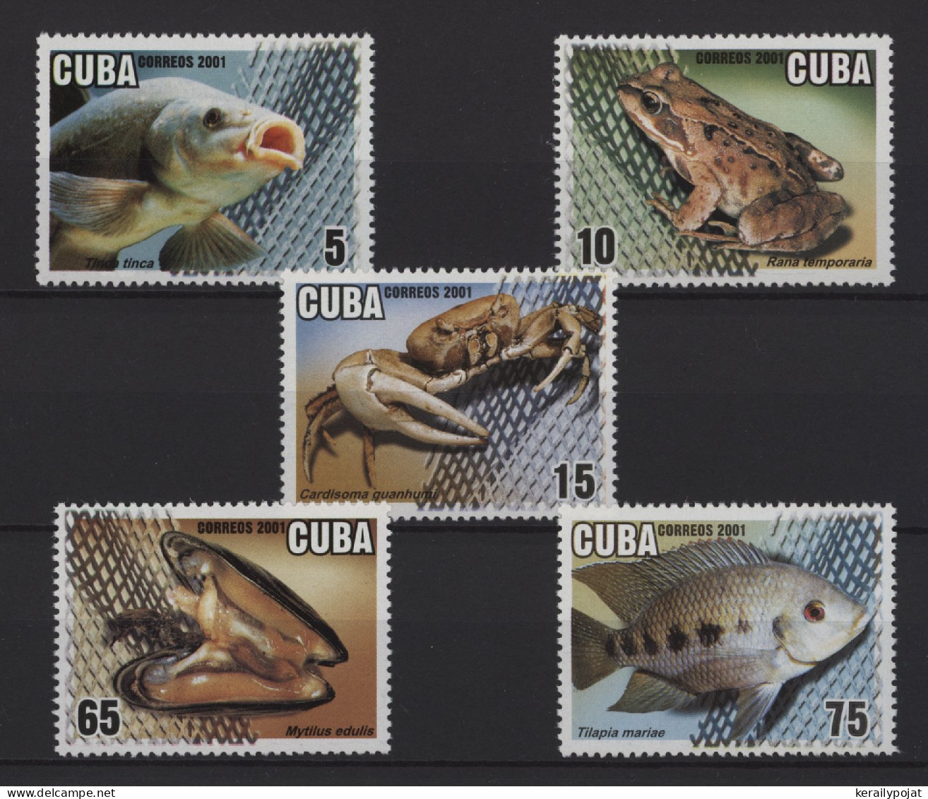 Cuba - 2001 Food Production Through Aquaculture MNH__(TH-27543) - Unused Stamps