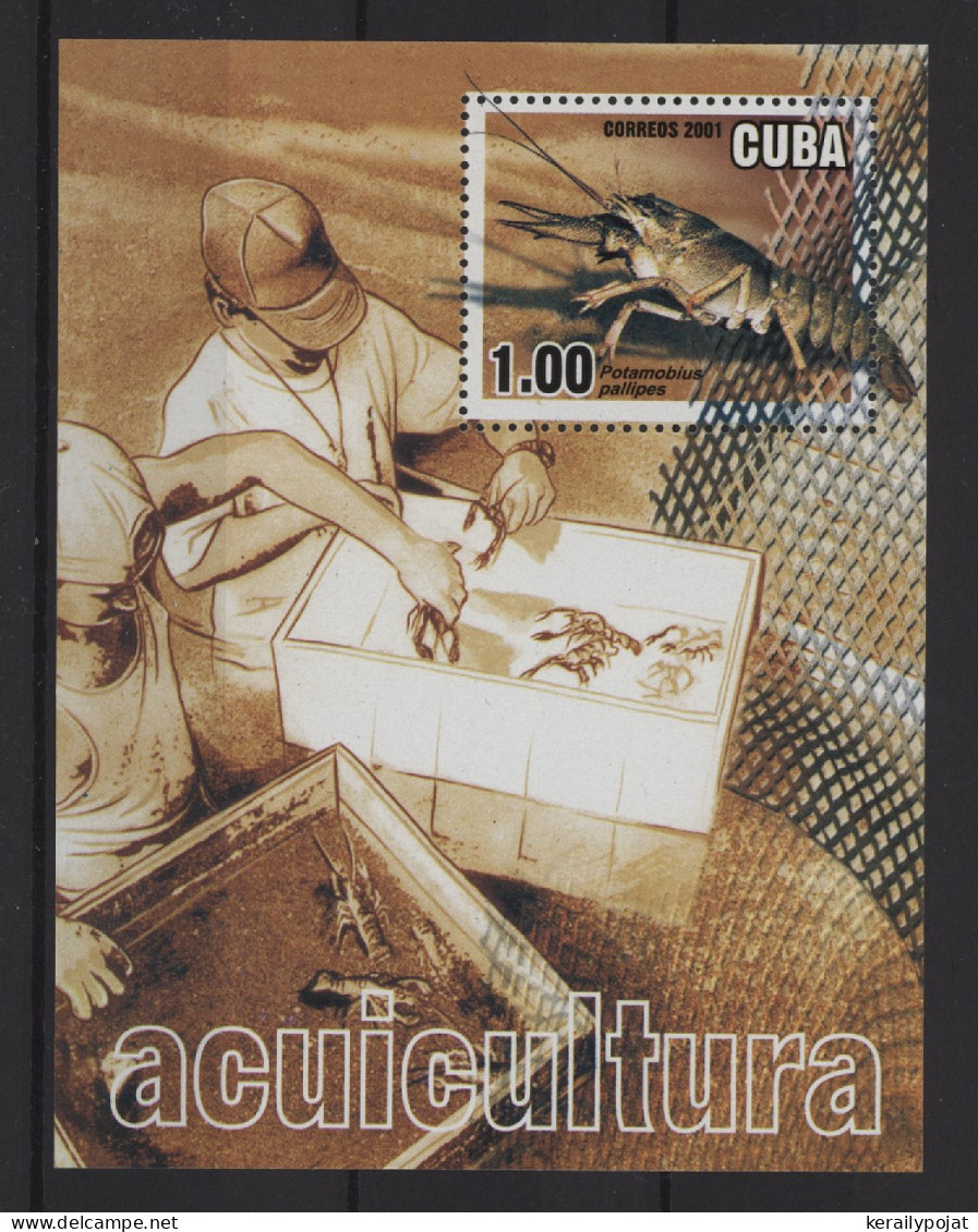 Cuba - 2001 Food Production Through Aquaculture Block MNH__(TH-25511) - Blocks & Sheetlets