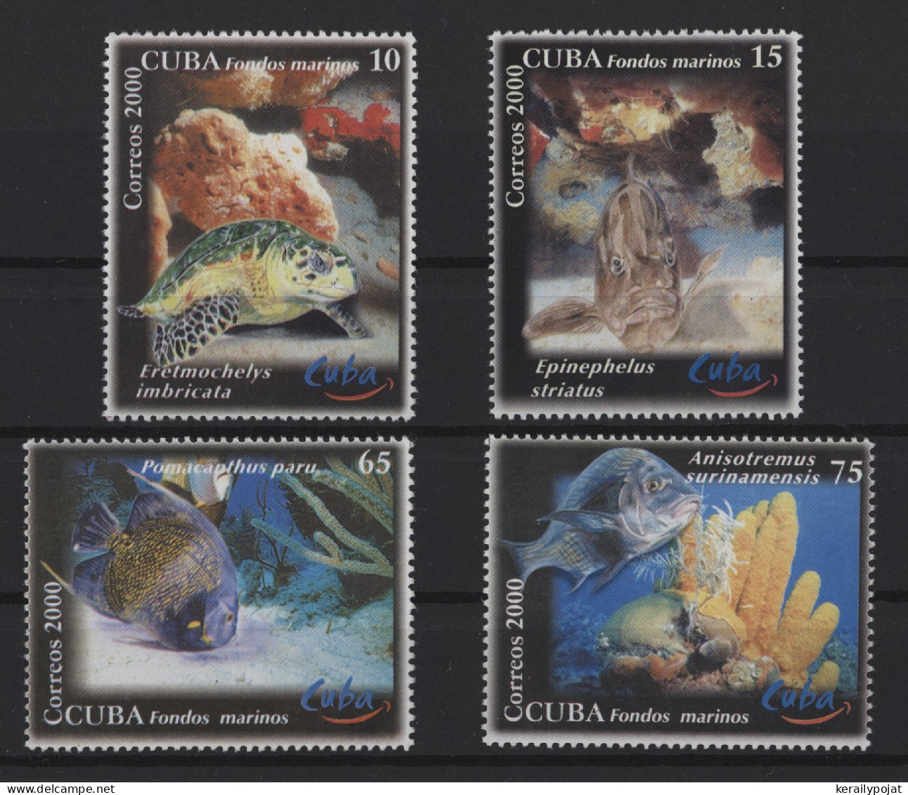 Cuba - 2000 Marine Fauna MNH__(TH-27270) - Neufs