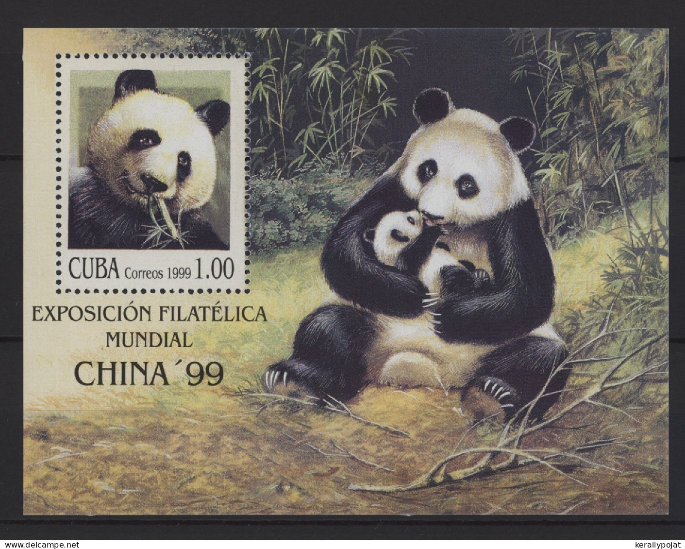 Cuba - 1999 Giant Panda Block MNH__(TH-27536) - Blocks & Sheetlets