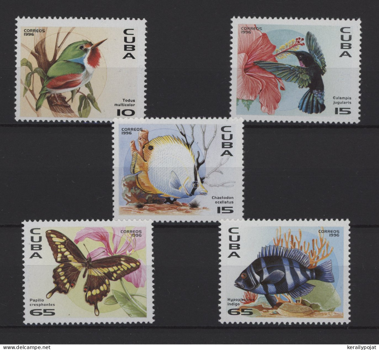 Cuba - 1996 Fauna Of The Caribbean MNH__(TH-27520) - Unused Stamps