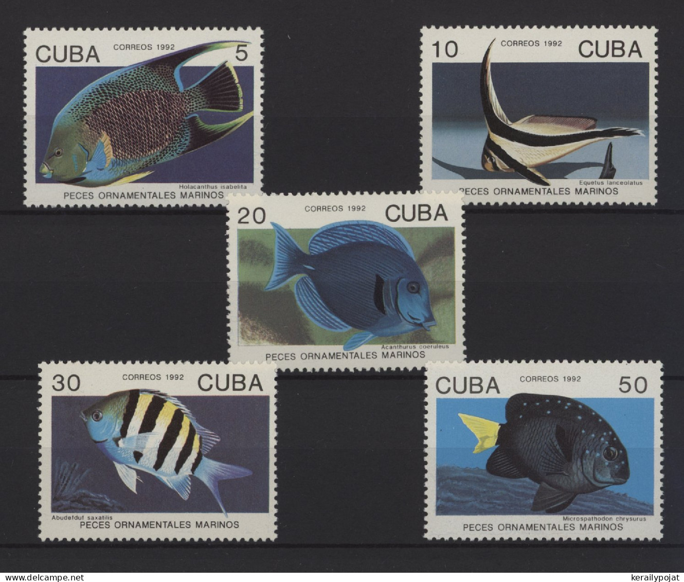 Cuba - 1992 Fishes MNH__(TH-27647) - Unused Stamps