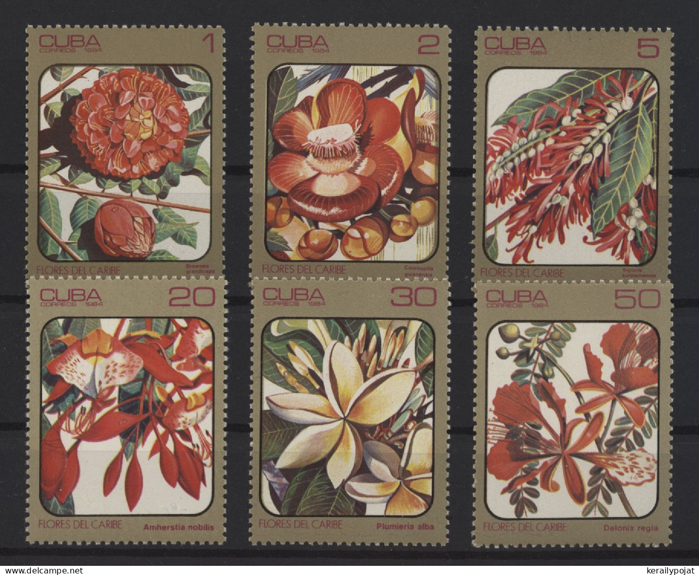 Cuba - 1984 Flowers MNH__(TH-27553) - Ungebraucht