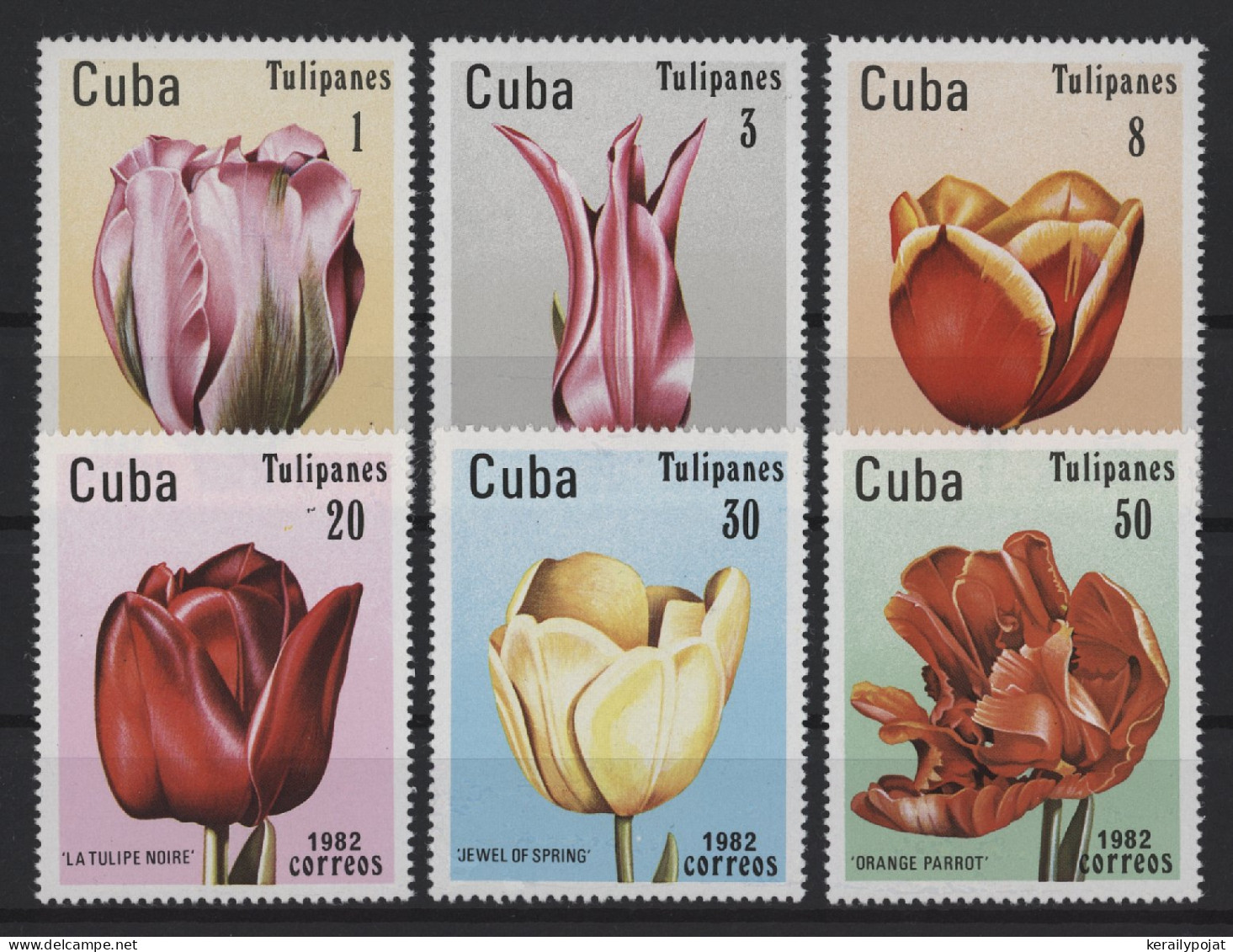 Cuba - 1982 Tulips MNH__(TH-27552) - Unused Stamps