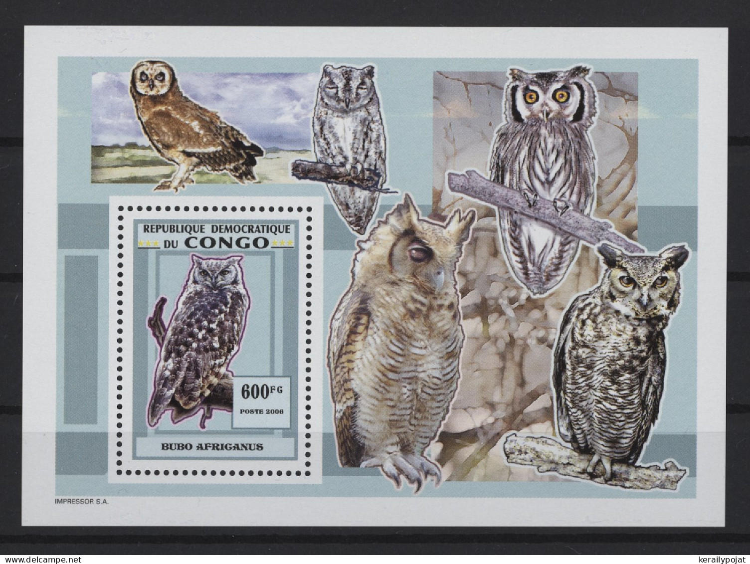 Congo (Kinshasa) - 2007 Owls Block (4) MNH__(TH-27087) - Mint/hinged