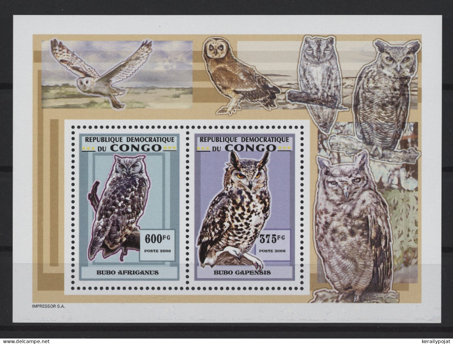 Congo (Kinshasa) - 2007 Owls Block (6) MNH__(TH-27089) - Ongebruikt