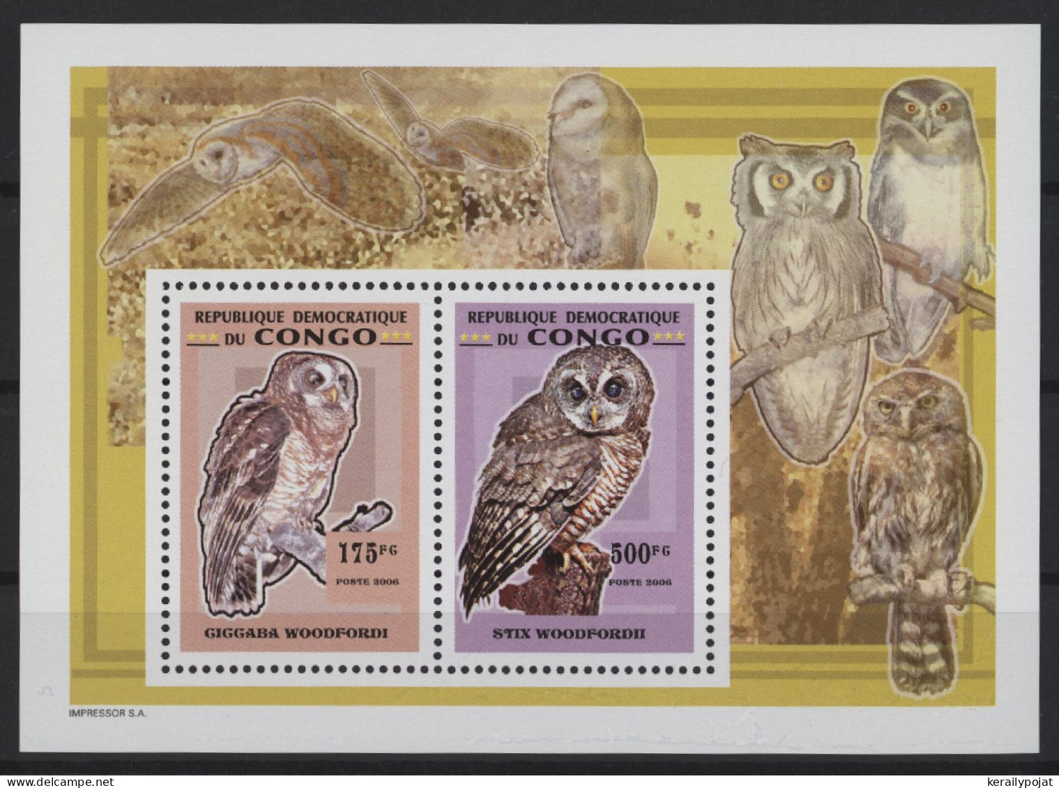 Congo (Kinshasa) - 2007 Owls Block (5) MNH__(TH-27088) - Mint/hinged