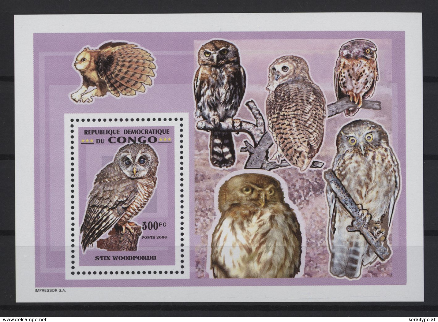 Congo (Kinshasa) - 2007 Owls Block (3) MNH__(TH-27086) - Mint/hinged