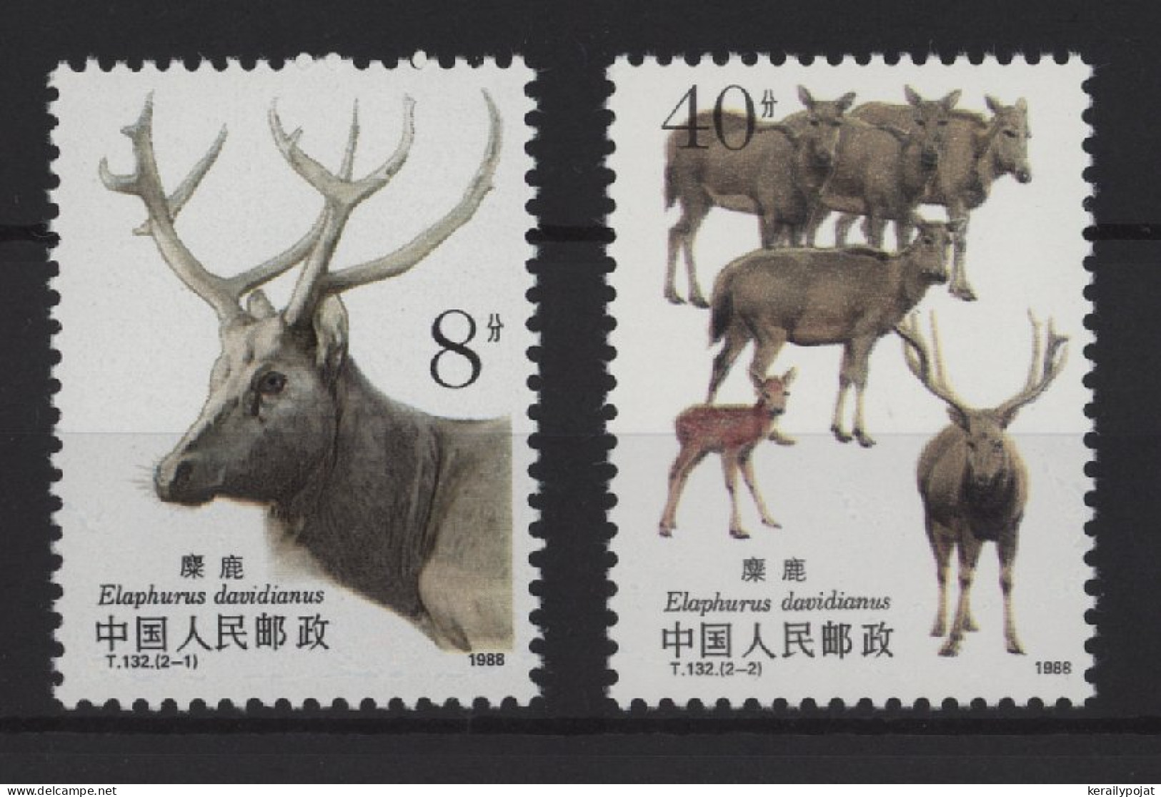 China - 1988 Deer Of David MNH__(TH-26655) - Unused Stamps