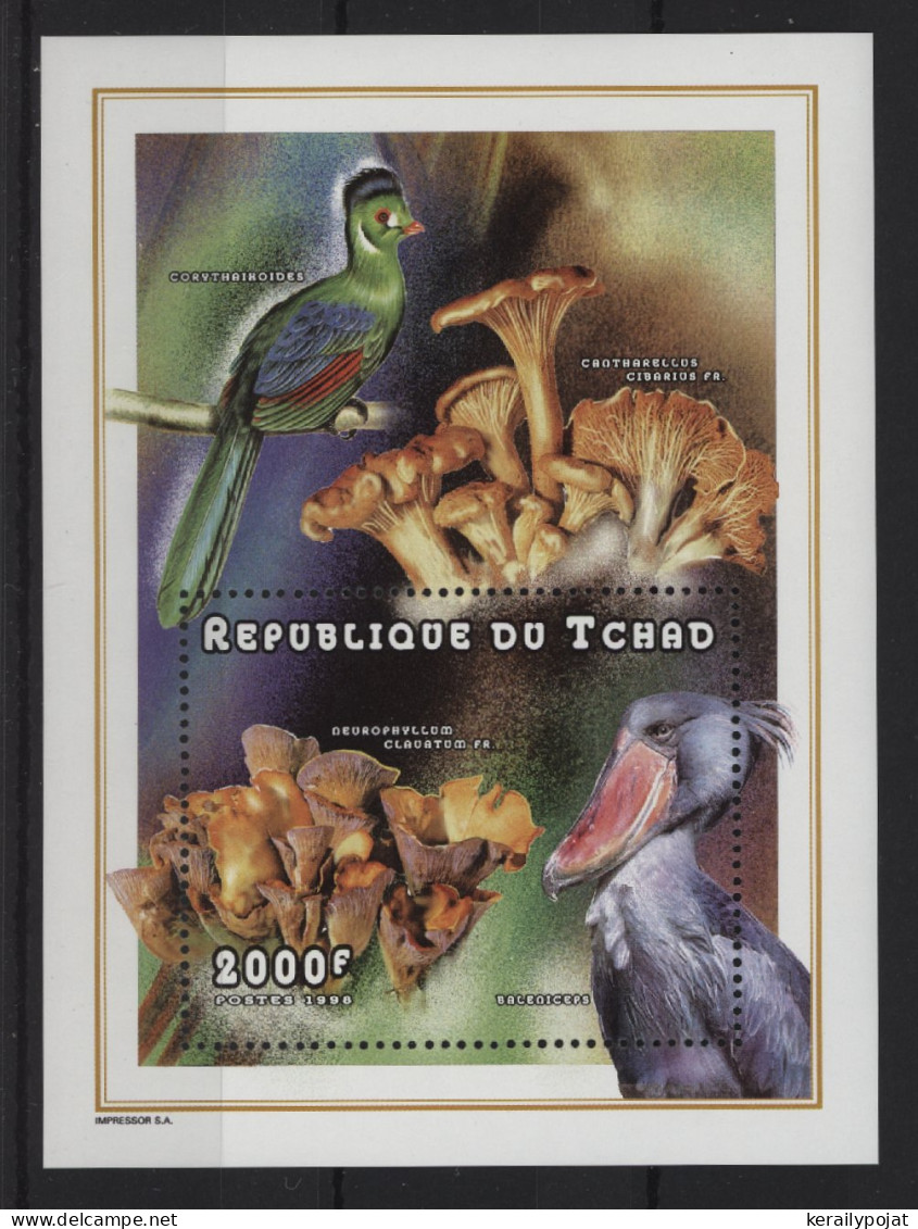 Chad - 1998 Fauna And Flora Block (1) MNH__(TH-24386) - Tchad (1960-...)
