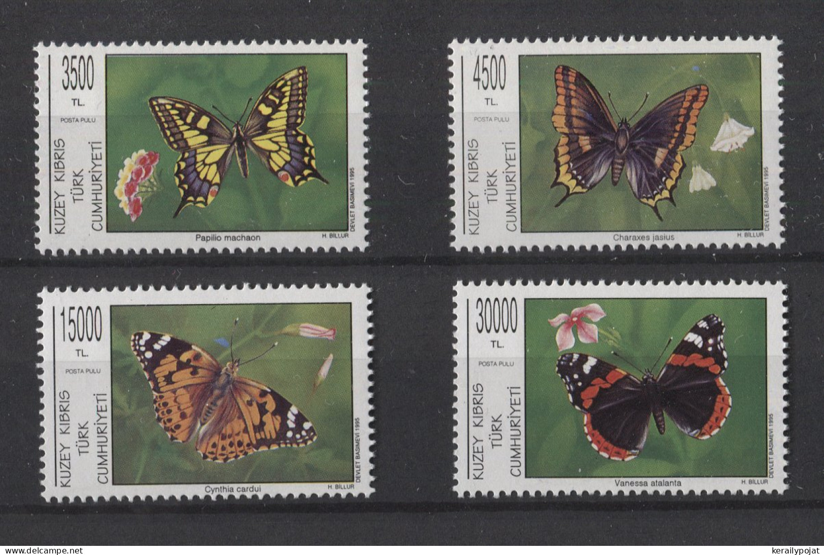 Cyprus (Turkey) - 1995 Butterflies MNH__(TH-24936) - Unused Stamps