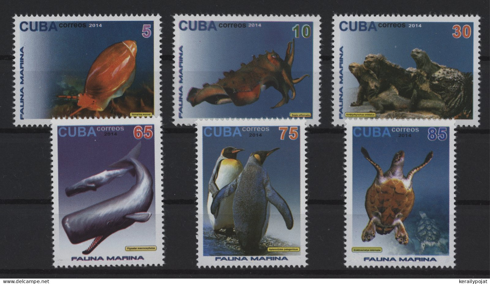 Cuba - 2015 Marine Fauna MNH__(TH-27349) - Unused Stamps