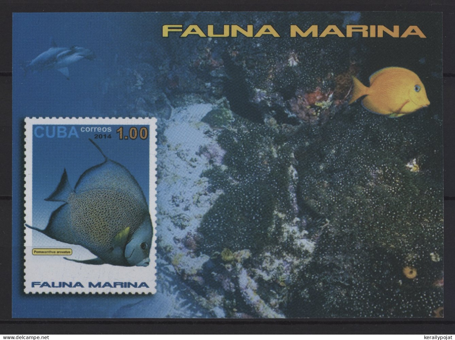 Cuba - 2015 Marine Fauna Block MNH__(TH-27348) - Hojas Y Bloques