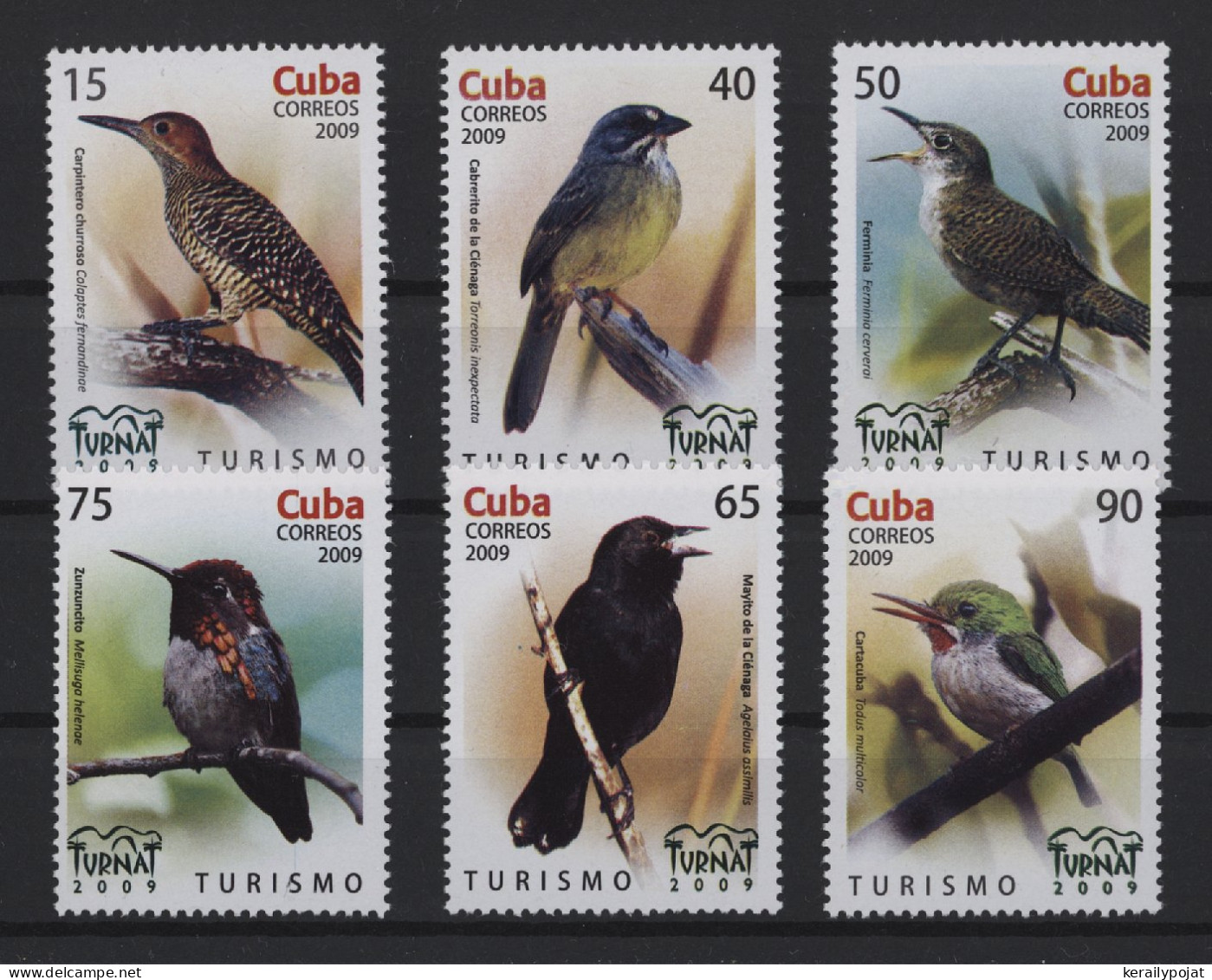 Cuba - 2009 Native Birds MNH__(TH-26985) - Unused Stamps