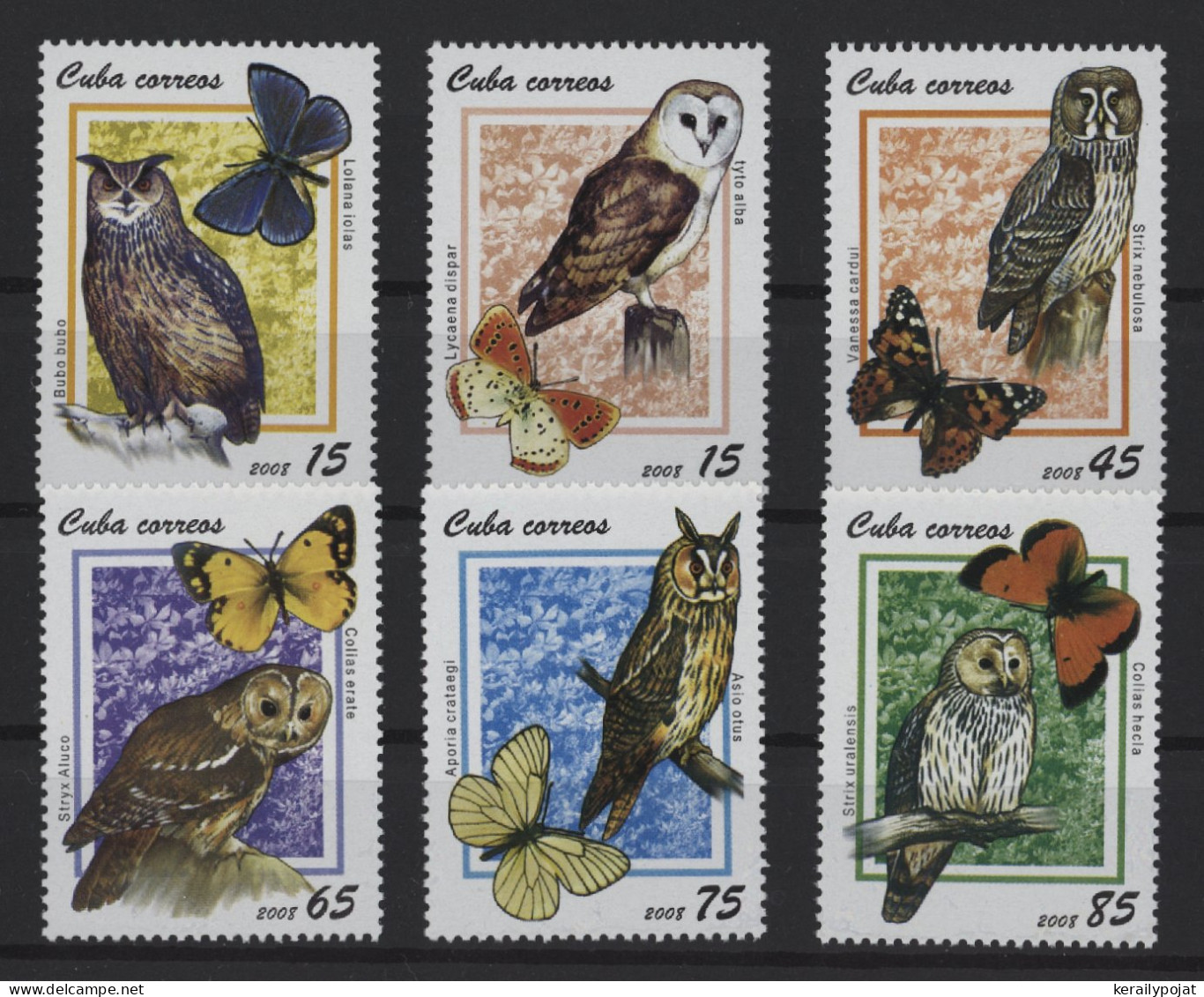 Cuba - 2008 Owls And Butterflies MNH__(TH-27192) - Nuevos