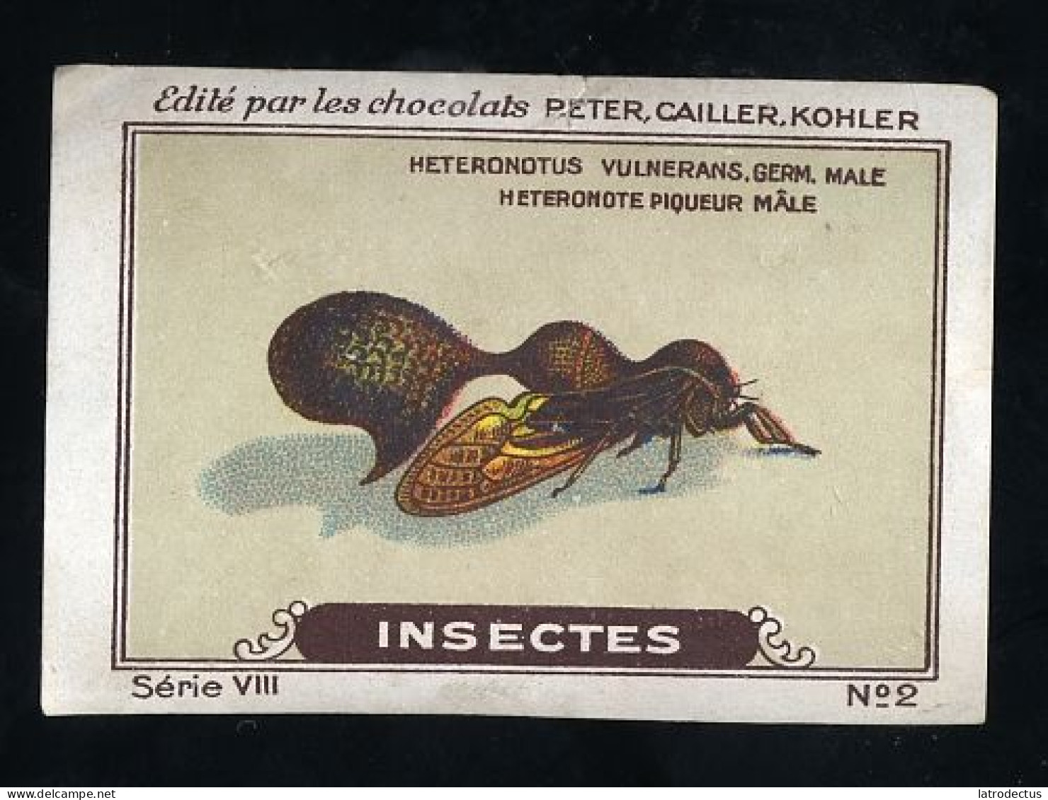 Nestlé (Edité) - VIII - Insectes, Insects - 2 - Nestlé