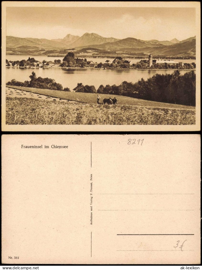 Ansichtskarte Chiemsee Fraueninsel Im Chiemsee, Berg-Panorama 1925 - Chiemgauer Alpen