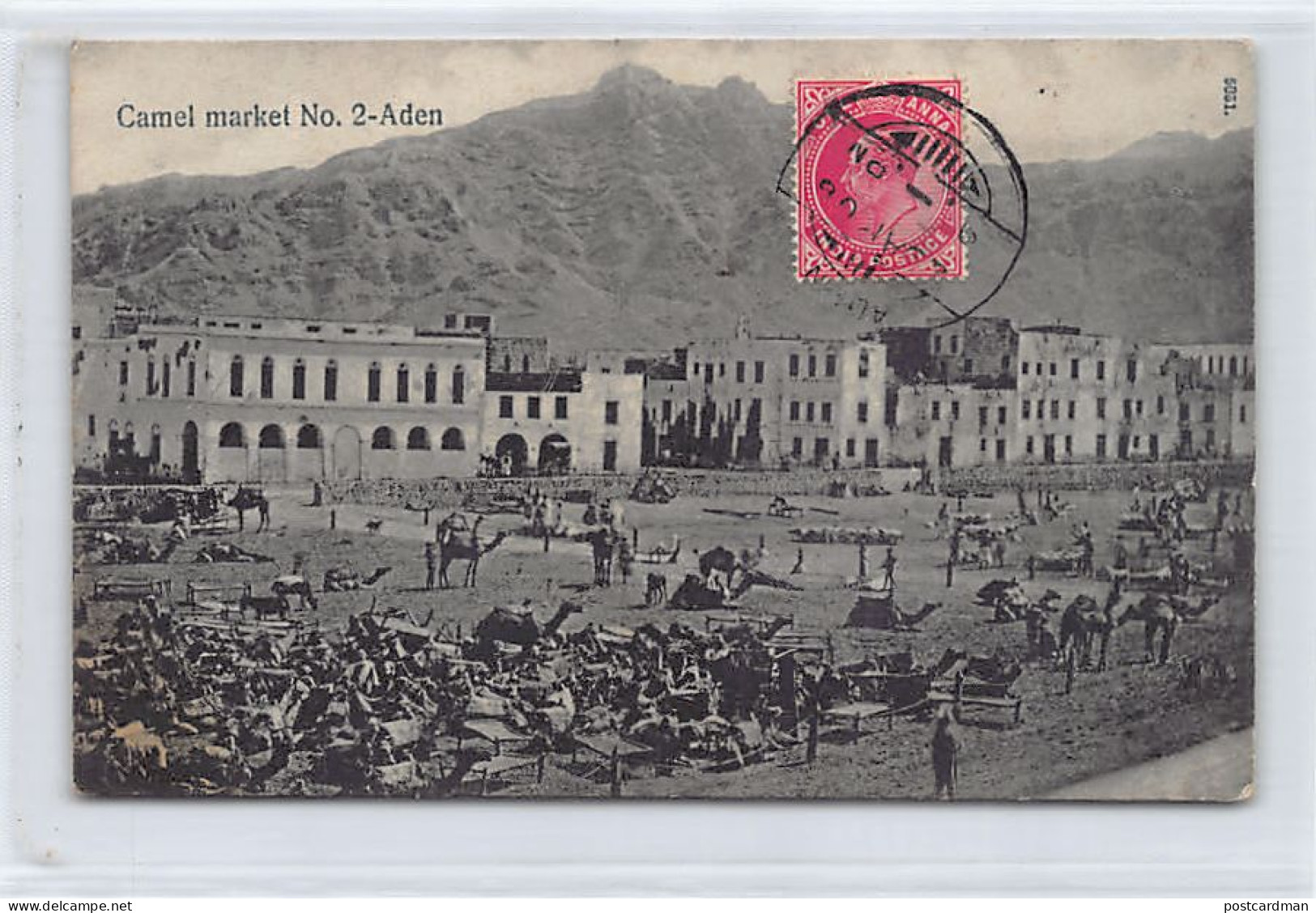 Yemen - ADEN - Camel Market - Publ. I. Benghiat Son 5051 - Jemen