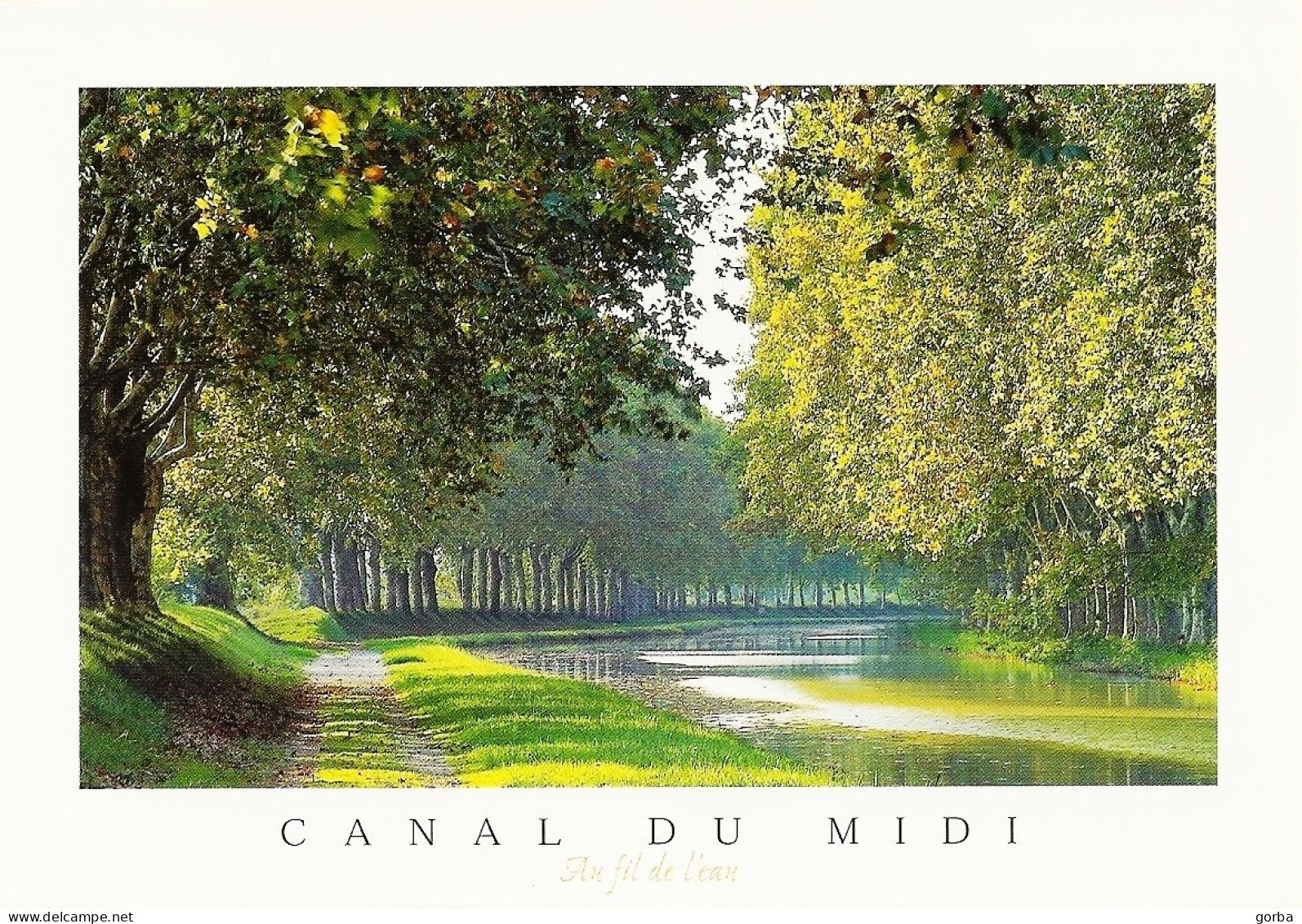 *CPM - FRANCE LANGUEDOC-ROUSSILLON - LE CANAL DU MIDI - Au Fil De L'Eau, Le Canal Dans Son écrin De Verdure - Languedoc-Roussillon