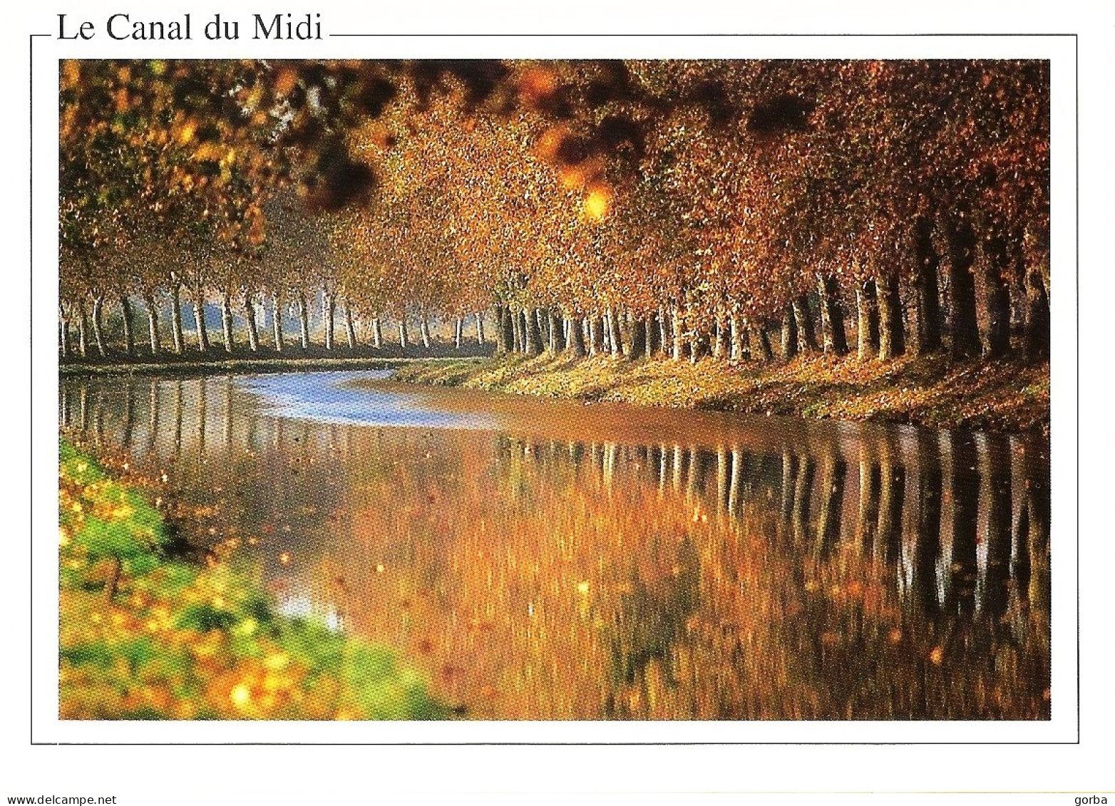 *CPM - FRANCE - LANGUEDOC-ROUSSILLON - LE CANAL DU MIDI - La Voûte Des Platanes Se Reflétant Dans L'eau - Languedoc-Roussillon