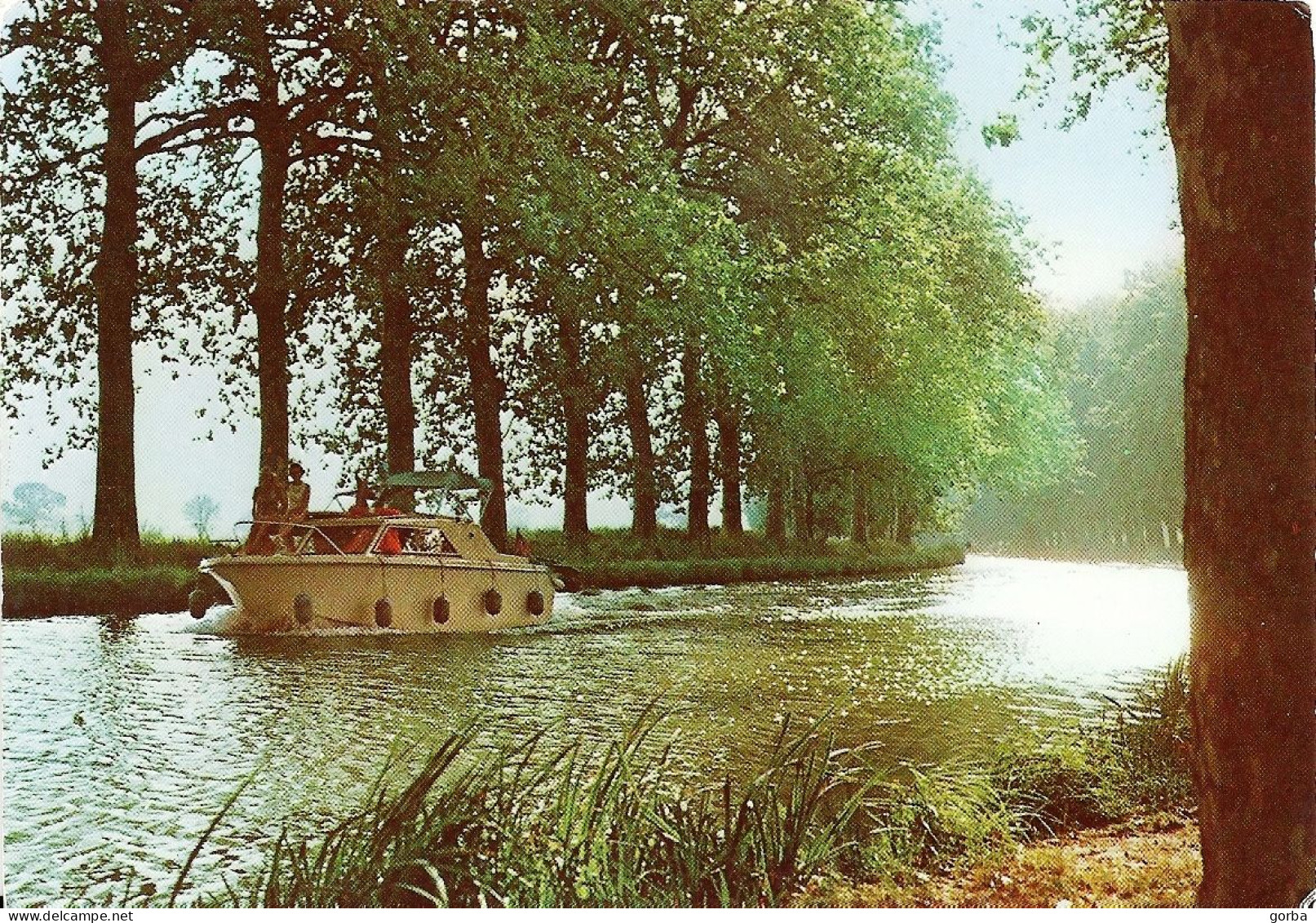 *CPM - FRANCE - LANGUEDOC ROUSSILLON - LE CANAL DU MIDI - Pénichette De Plaisance - Languedoc-Roussillon