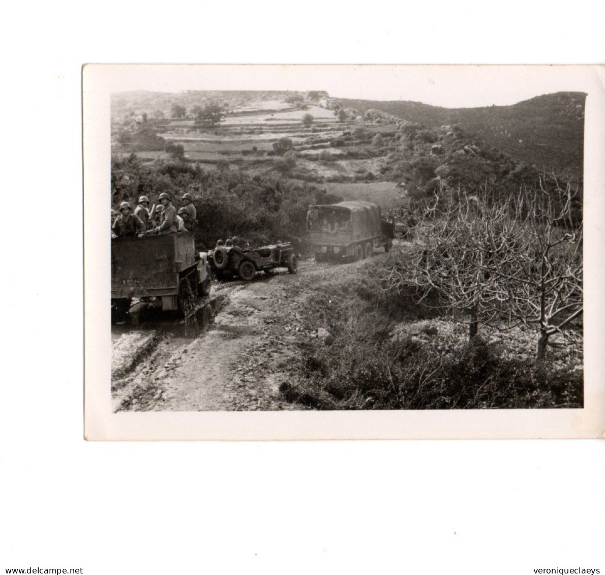 Photo Ancienne 2 Camions Transport De Troupe Et Une Jeep C1/9 - 1939-45