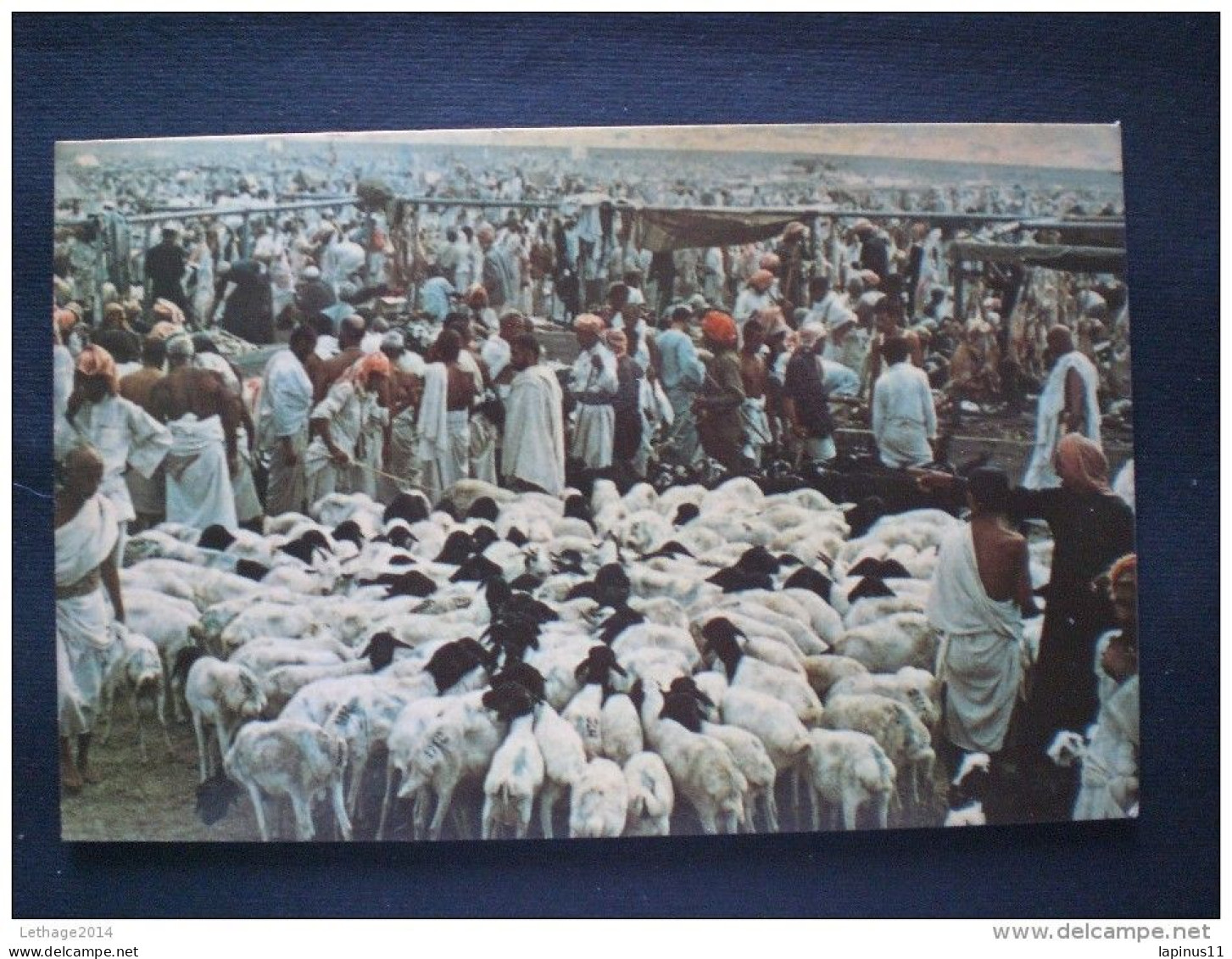 POSTCARD SAUDI ARABIA 1960 THE SACRIFICE AT MINA - Arabie Saoudite